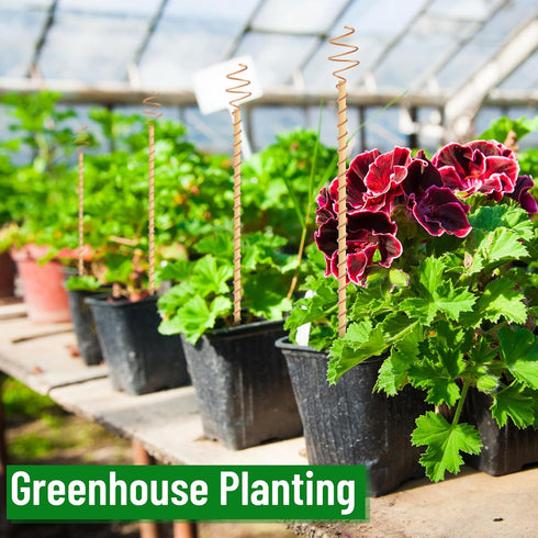 12 Pcs Electroculture Copper Gardening Antenna Long Copper Garden Stake Electroculture Plant Stake Garden Tool Coil Electronic Planting for Growin...