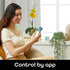 Geeni Smart Temperature and Humidity Monitor Sensor - Indoor Wireless WiFi Thermometer Hygrometer for House, Alexa, Google Home App Controlled, Ba...