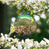 Wild Bird Feeder - Outdoor Metal Feeders Bird Feeder Patio Hanging 9.5 Inch Frog for Garden Yard Outside Decoration...