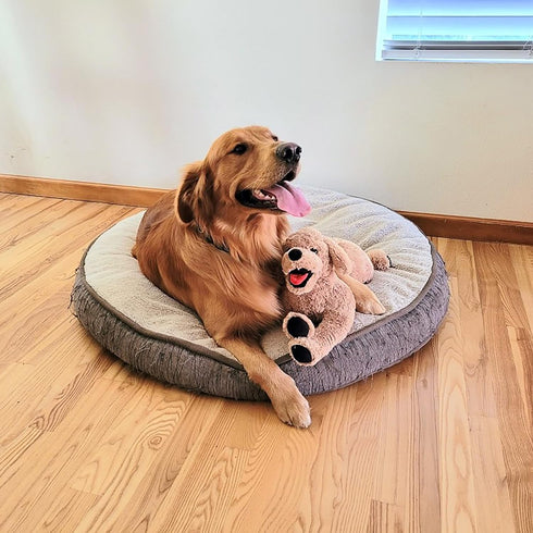 LotFancy Dog Stuffed Animals Plush, 21" Soft Cuddly Golden Retriever Plush Toys, Large Stuffed Dog, Puppy Dog Stuffed Animals, Mother's Day, Birth...