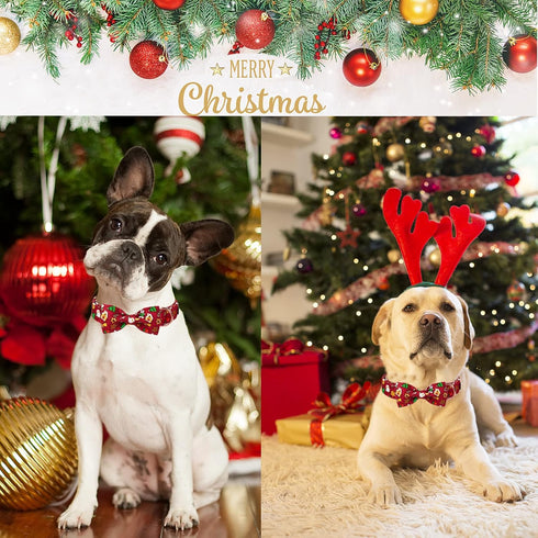 ARING PET Christmas Dog Collar, Cute Santa Claus Dog Collar with Bowtie, Cotton Red Christmas Dog Collar Bow with Metal Buckle for Small Medium La...