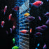 Fish Tank Divider Acrylic Aquarium Divider Kit with 8 Suction Cups Accessories Fish Separator Transparent Plate (Suction Cup Included) 9.8 * 11.8i...
