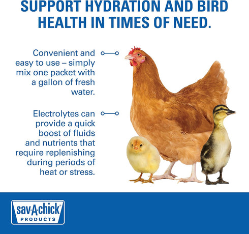 Sav-A-Chick Electrolyte & Vitamin Supplement (3 - 0.2 oz packets)...
