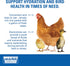 Sav-A-Chick Electrolyte & Vitamin Supplement (3 - 0.2 oz packets)...
