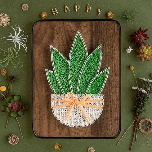 BAZIMA DIY String Art Kit for Beginner,DIY Aloe Potted Craft Kit,Unique Gift,Craft Kit for Holidays...