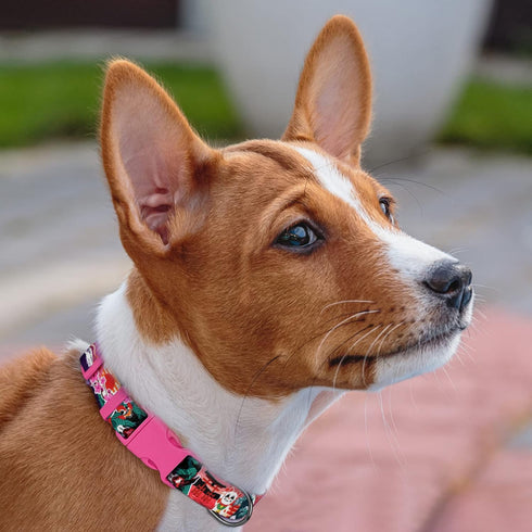 Nature Dog Collar Travel Pattern Adjustable Nylon Pet Collars for Small Medium Large Dogs Puppy Designer Print (Japan, Neck Fit 14"-18")...