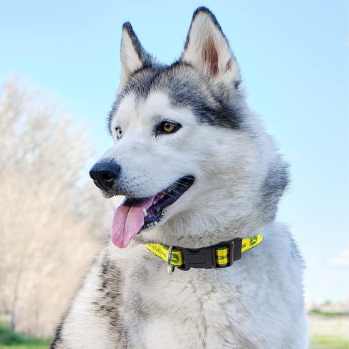 Old Version - Pets First John Deere Pet Collar. Licensed Dog Collar, Large Collar for Dogs & Cats. A Shiny and Colorful Cat Collar & Dog Collar. C...