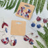 joycraft Earring Cards - 2" Kraft Earring Display Holder Cards, 100Pcs Blank Paper Cards with 6 Holes, Jewelry Display Cards for Selling, Hanging ...