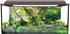 AWERT 72x24 inches Jungle Terrarium Background Grass Flowers Trees Sunlight Reptile Habitat Background Garden Plants Aquarium Background Vinyl Bac...