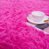 ISEAU Fluffy Rug Carpets Soft Shaggy Area Rugs Indoor Floor Mats for Kids Room Fuzzy Carpet Dorm College Apartment Mat Bedside Rug for Boys Girls ...