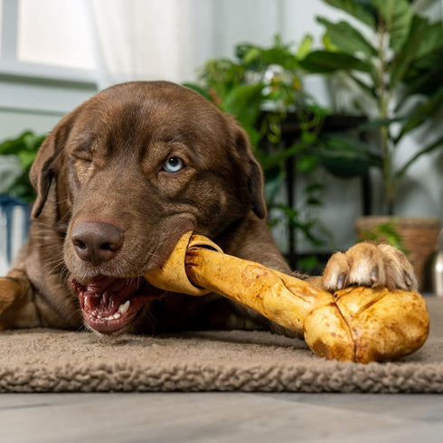 Pet Factory American Beefhide 12" Knotted Bone Dog Chew Treat - Peanut Butter Flavor, 1 Count/1 Pack...