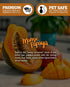 Mango & Papaya Premium Tealight Candles Bulk Pack - 24 Orange Highly Scented Tea Lights - Beautiful Candlelight - Made in The USA - Fruit & Berry ...