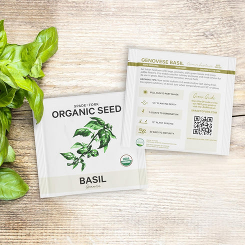 15 Certified Organic Herb Seeds Variety Pack (4X More) 10,000+ Non GMO Seeds for Planting Indoor Herb Garden or Outdoor Herb Garden Seeds for Plan...