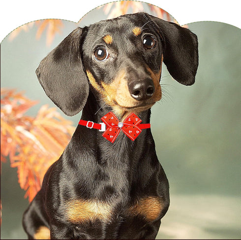PET SHOW Adjustable Cute Dog Bow ties Collar for Small Dogs Puppy Cats Bowties Neckties Pet Grooming Accessories Assorted Randomly Pack of 50...