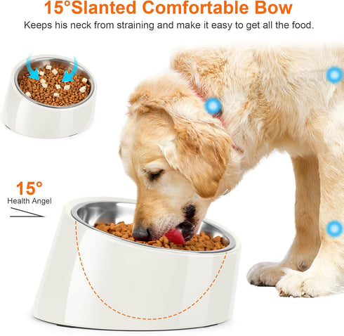 Tilted Angle Dog Bowl, 15° Slanted Stainless Steel Dog Cat Food Bowl, Non-Slip & Non-Spill Pet Feeder with Elevated Detachable Melamine Stand, Eas...
