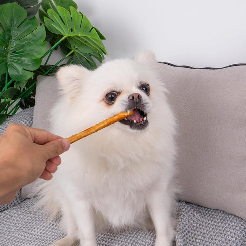 MON2SUN Dog Treats, 5 Inch Chicken Wrapped Collagen Sticks, Teeth Cleaning Collagen Dog Chews for Small Dogs, Healthy Dog Snacks, 10.58oz (40 Coun...