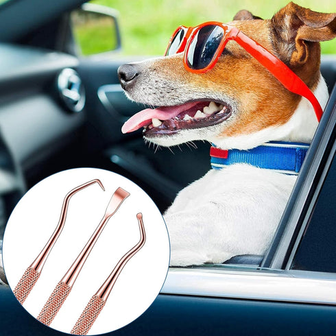 3 Pieces Dog Dental Tooth Scaler and Scraper Stainless Double Headed Tarter Removing Tool Scraper Pet Teeth Cleaning Tools for Dog and Cat (Rose G...