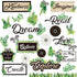 Boho Bulletin Board Set Greenery Plant Inspirational Cutouts Greenery Board Border Classroom Decor Simply Boho Positive Quote Sign for Kids Social...