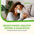 Animal Essentials FOCUS Lions Mane Mushroom Supplement for Dogs & Cats - Supports Brain Health, Cognitive Function, Healthy Immune Response, Mushr...