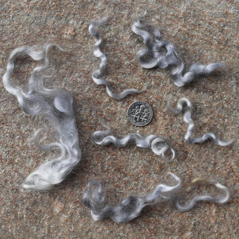 Real Mohair Locks. Hand Dyed Wool Fiber for Rooting, Felting, Blending, Spinning, Wallhangings and Embellishments. Silver, 1 Ounce (28g)......