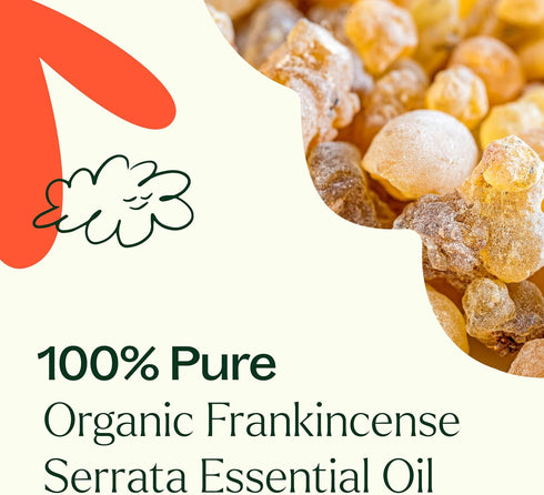 Plant Therapy Organic Frankincense Serrata Essential Oil 100% Pure, USDA Certified Organic, Undiluted, Natural Aromatherapy, Therapeutic Grade 30 ...