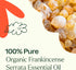 Plant Therapy Organic Frankincense Serrata Essential Oil 100% Pure, USDA Certified Organic, Undiluted, Natural Aromatherapy, Therapeutic Grade 30 ...