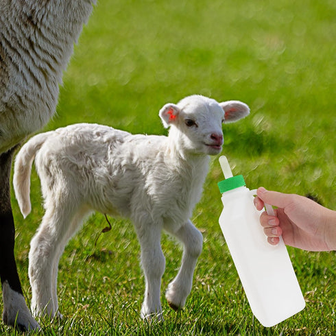1 Set Lamb Feeding Bottle Lamb Feeding Tools Goat Feeding Bottle Pig Feeding Bottle Calves Bottle Sheep Milk Feeder Lamb Kids Bottle Goat Milk Bot...