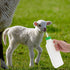 1 Set Lamb Feeding Bottle Lamb Feeding Tools Goat Feeding Bottle Pig Feeding Bottle Calves Bottle Sheep Milk Feeder Lamb Kids Bottle Goat Milk Bot...