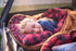 TETON Sports Camp Pillow; Great for Travel, Camping and Backpacking; Washable...