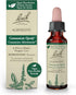 Bach Original Flower Remedies, Agrimony for Open Communication (Non-Alcohol Formula), Natural Homeopathic Flower Essence, Holistic Wellness and St...