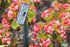 ENBRIGHTEN Mega Stake, LED Landscape Light Management, 14” Tall, Durable, 54483, Black...