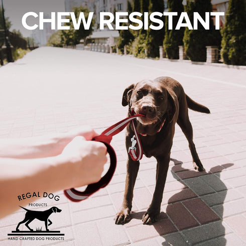 Regal Dog Products Reflective Leash – 5 ft. Dog Leash with Easy to Use Collar Hook, Lightweight, and Proof Training Pet Lead for Small, Medium, La...