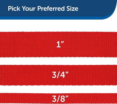 PetSafe Nylon Dog Leash – Strong, Durable, Traditional Style Leash with Easy to Use Bolt Snap for Small, Medium and Large Dogs – 3/8" x 6', Red...