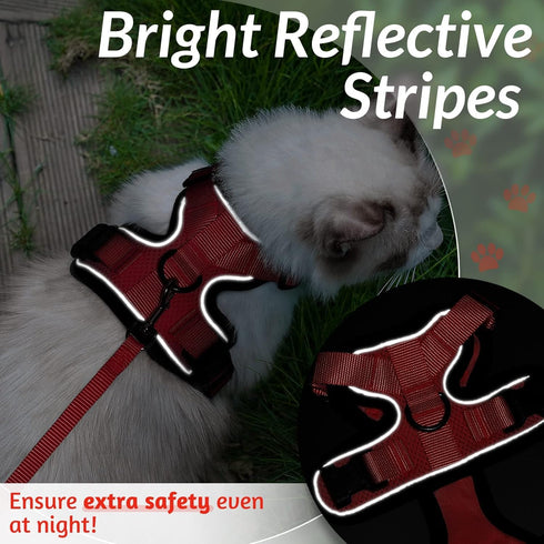 rabbitgoo Cat Harness and Leash for Walking, Escape Proof Soft Adjustable Vest Harnesses for Cats, Easy Control Breathable Reflective Strips Jacke...