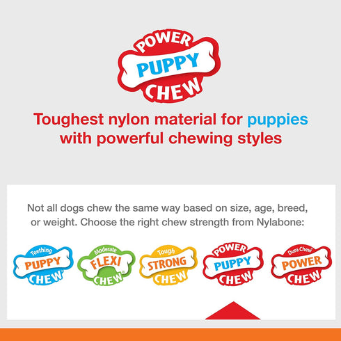 Nylabone Puppy Power Chew Knuckle Bone & Pop-In Puppy Treat Toy Combo Chicken Medium/Wolf (1 Count)...