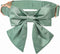 Lionet Paws Bowtie Dog Collar - Comfortable Silk Dog Collar with Detachable Bow Tie for Large Dogs, Neck 16-24 Inches...