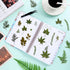 Nuanchu Pressed Flowers Bulk Dried Flower for Crafts, Dried Flower Leave Natural with Tweezer for Resin Mold Scrapbooking DIY (Greenery Style)...
