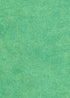 Leaping Lizards - Green - Wool Felt Oversized Sheet - 35% Wool Blend - 1 12x18 inch Sheet...