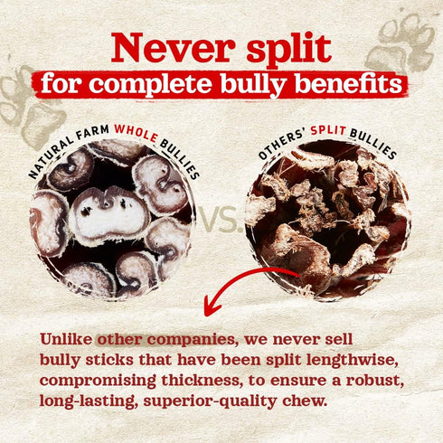 Natural Farm Odor-Free Thick Bully Sticks (6”, 5-pack) ALL-NATURAL Long-Lasting Dog Chews, 100% Beef Pizzle, Grass-Fed, Grain-Free, Protein for Mu...