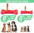 GoSports Chew Champ Bully Stick Holder for Dogs - Securely Holds Bully Sticks to Help Prevent Choking - 6 in or 8 in Size...