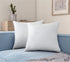 Acanva Premium Throw Pillow Inserts with Microfiber Filled, Lumbar Support Decorative Stuffer for Sofa Bed Couch & Chairs, 14x14, 2 Count, White...