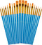 Paint Brushes Set for Acrylic Painting, 20 Pcs Oil Watercolor Acrylic Paint Brush, Artist Paintbrushes for Body Face Rock Canvas, Kids Adult Drawi...