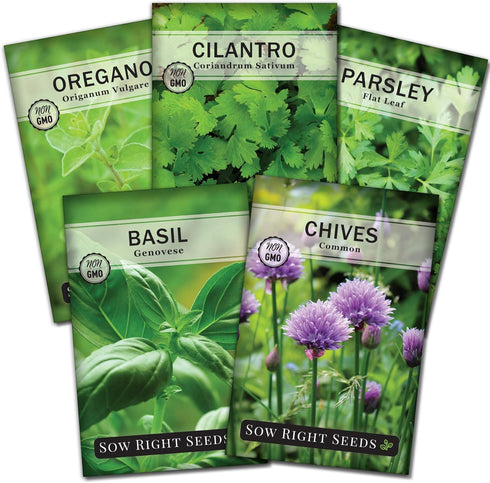 Sow Right Seeds - 5 Herb Seed Collection for Planting - Genovese Basil, Chives, Cilantro, Italian Parsley, and Oregano to Plant and Grow a Home Ve...