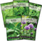 Sow Right Seeds - 5 Herb Seed Collection for Planting - Genovese Basil, Chives, Cilantro, Italian Parsley, and Oregano to Plant and Grow a Home Ve...