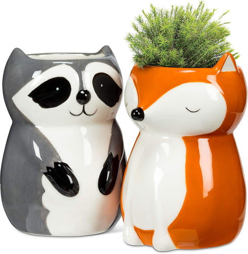 Abbott Collection 27-MINIKIN-473 Sitting Raccoon Planter/Vase-4" H, 4 inches H, Grey...
