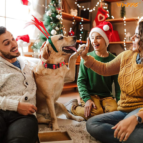 WHIPPY Christmas Dog Collar, Dog Christmas Collars with Santa and Christmas Tree Pattern Adjustable Christmas Boys Girls Dog Collar with Safety Pl...