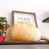 Feather Duster, Lambswool Duster for Cleaning,with Solid Wooden Handle,Leather Hang Strap,Anti-Static 14.9 inchs Washable Reusable Small Hand Dust...