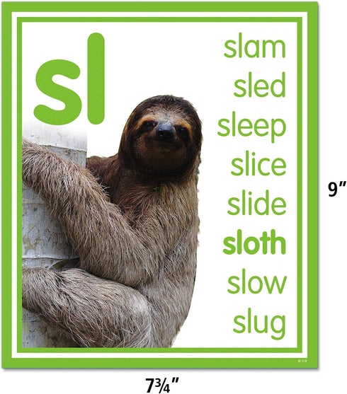 Teacher Created Resources Colorful Photo Cards Digraphs and Blends Bulletin Board (TCR8503)...