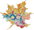 Zodiacal Hue Cross Stitch Kits Stamped Full Range of Embroidery Kits for Adults DIY 14CT Cross Stitches kit Embroidery Patterns for Needlepoint ki...