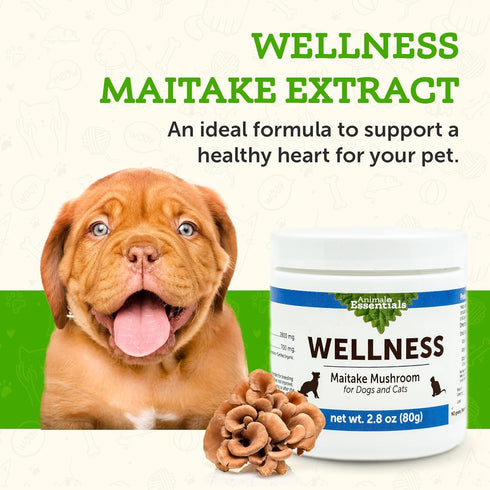 Animal Essentials WELLNESS Maitake Mushroom Supplement for Dogs & Cats - Healthy Immune Response, Supports Circulatory Function, Critical Immune D...